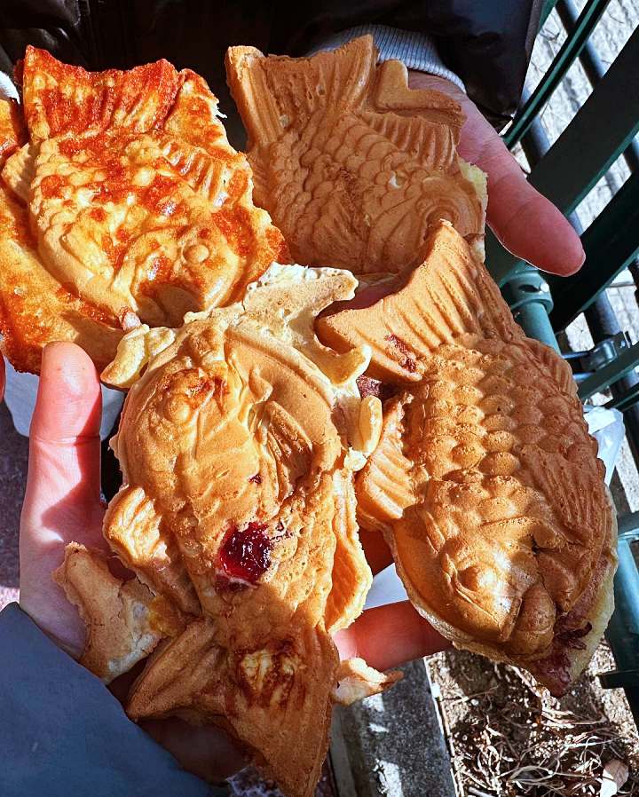 생방송오늘저녁 팥 크림치즈 고구마 피자 붕어빵 웨이팅은 기본 줄 서는 맛집 종로 광장시장 맛집 추천