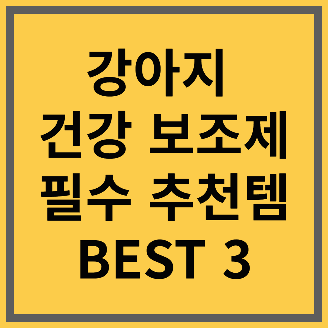 강아지 건강 보조제 필수 추천템 BEST 3 (관절·피부·면역력 관리)