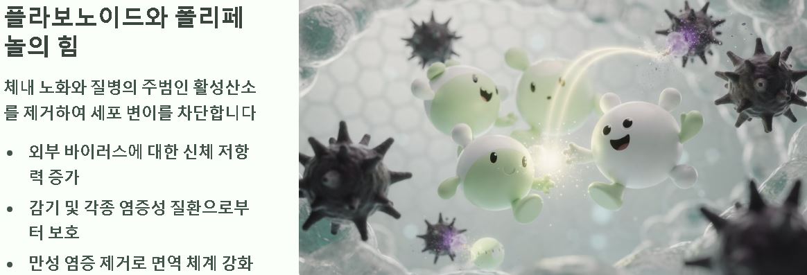 구찌뽕 열매 끓인물효능