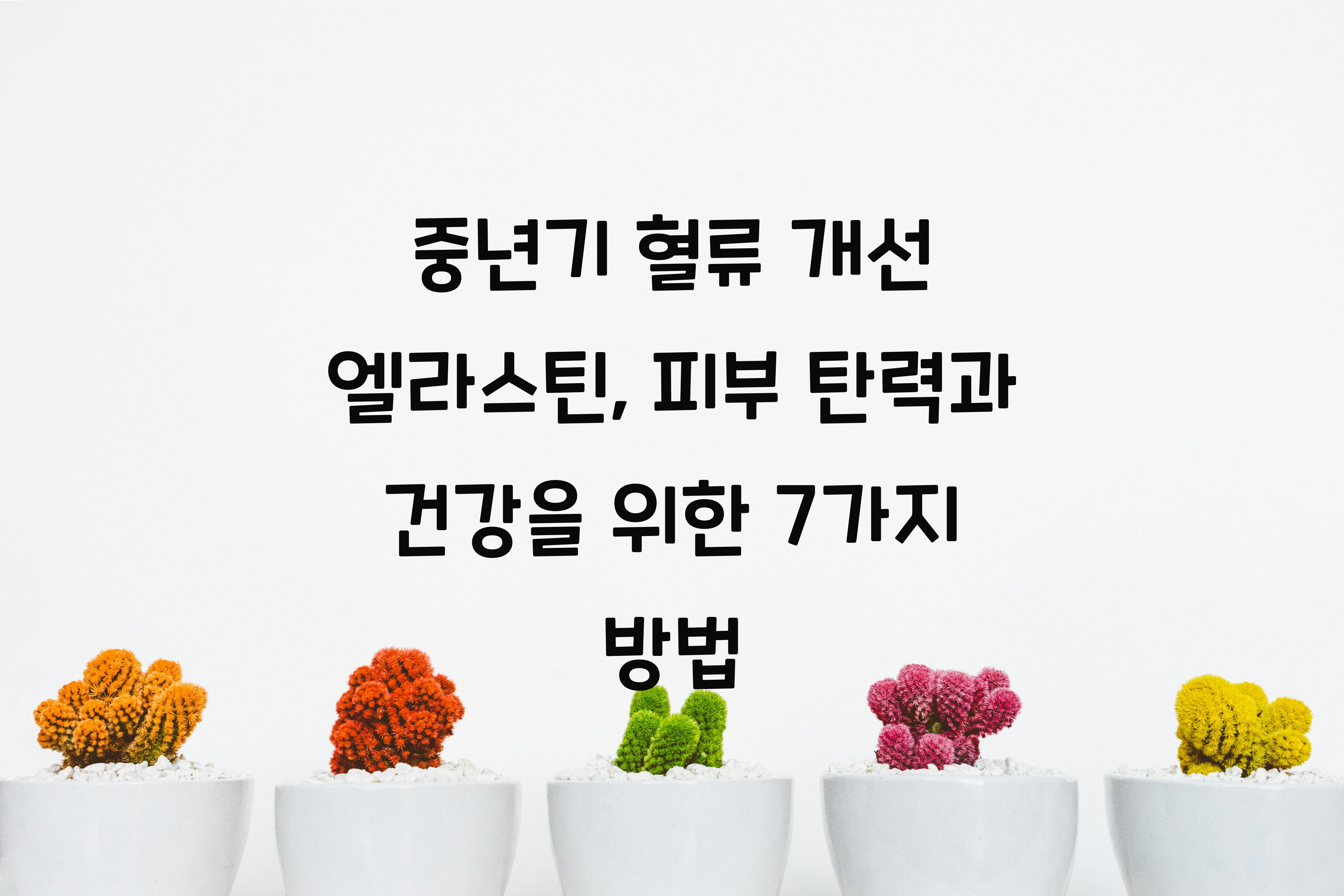 중년기 혈류 개선 엘라스틴