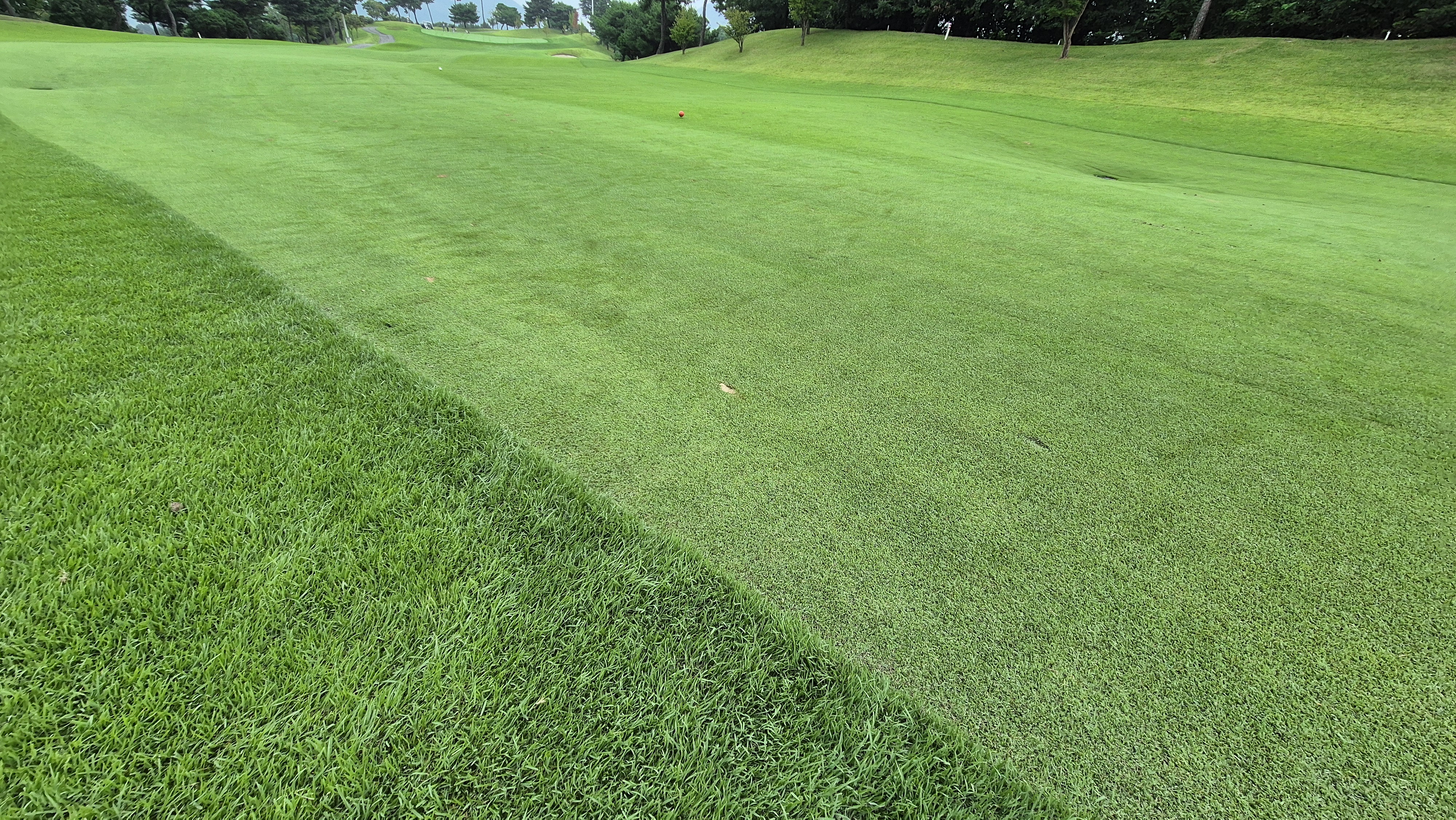 골프존카운티 진천