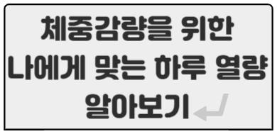 하루 권장 칼로리 계산 알아보기