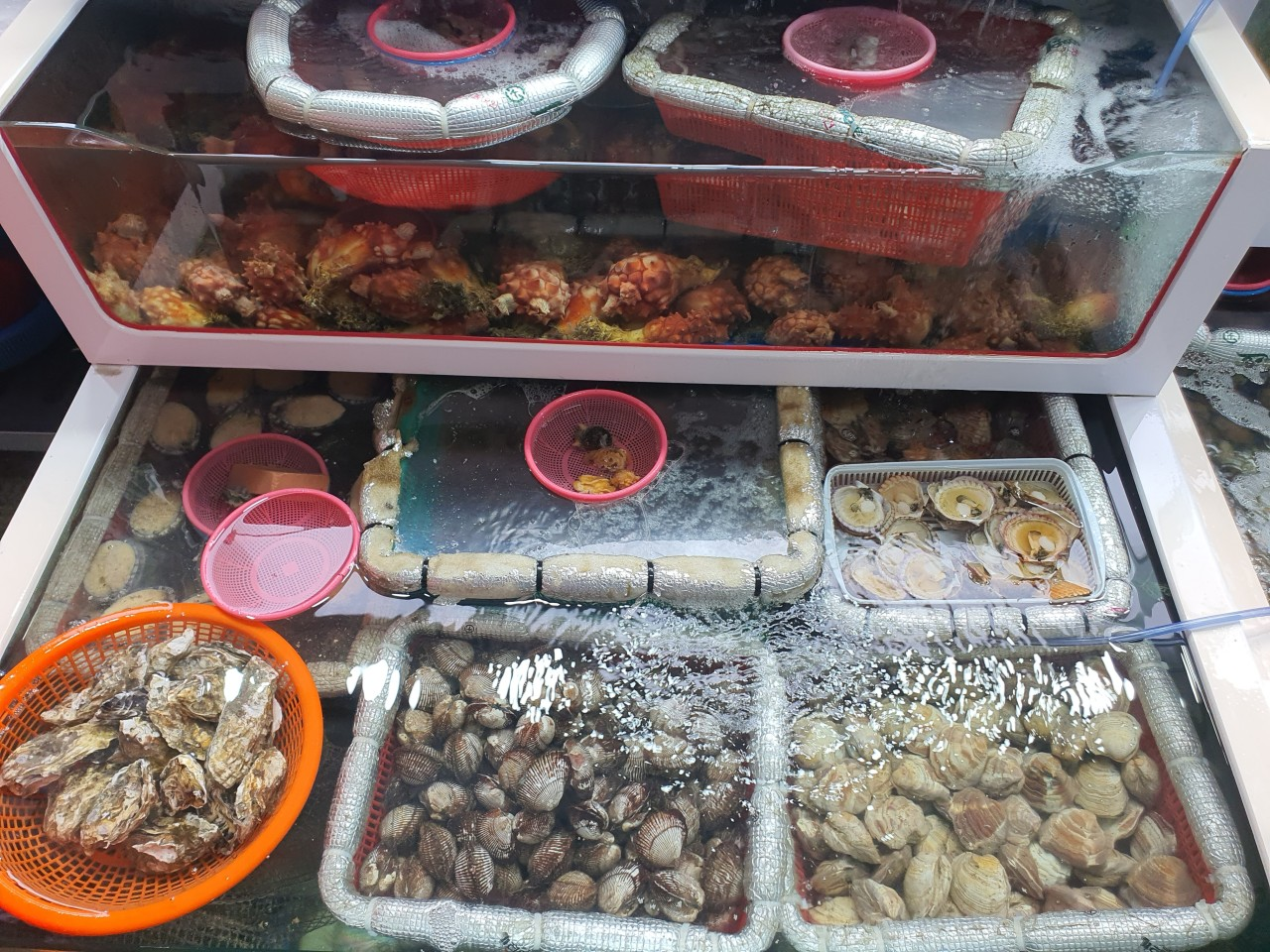 남당항 또오리회수산