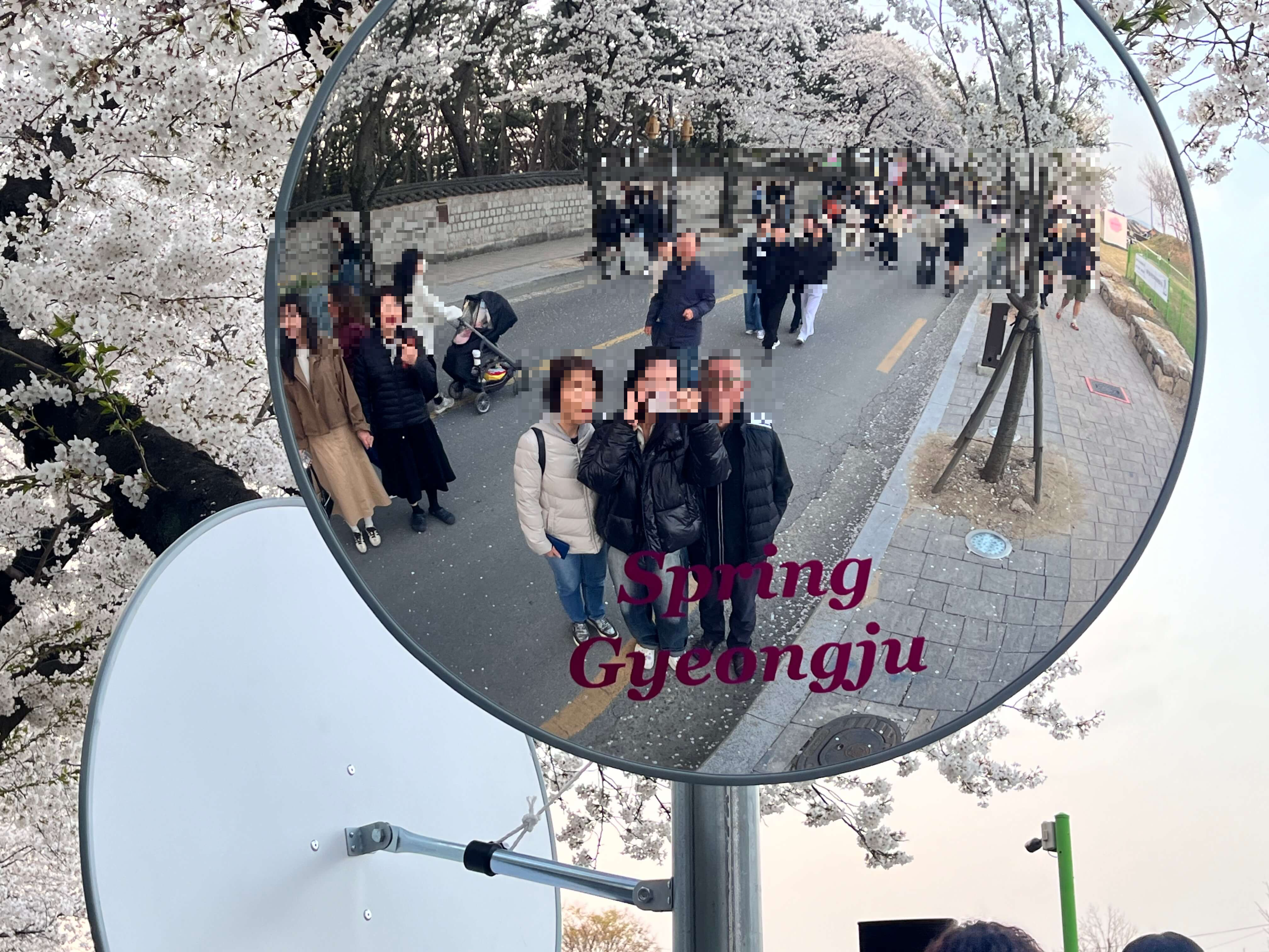 대릉원 돌담길 축제