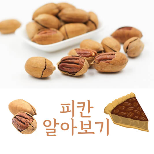 피칸