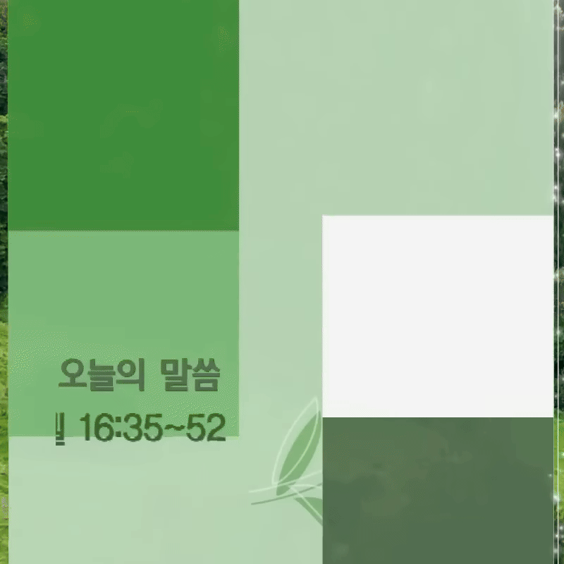 배신을 멈추게 하는 질투의 심판