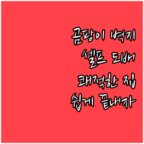 곰팡이 벽지 OUT! 셀프 도배로 쾌