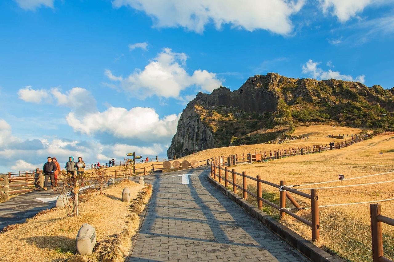 제주
노란 유채꽃 향기가 피어나는 봄 여행의 절정지