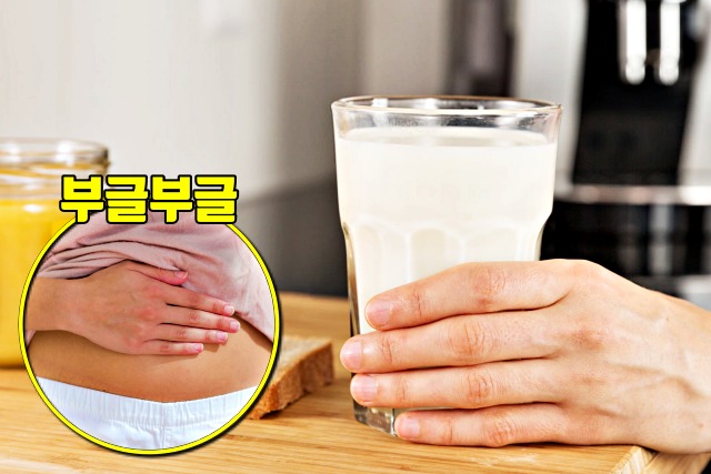 우유, 유당불내증, 속쓰림 음식