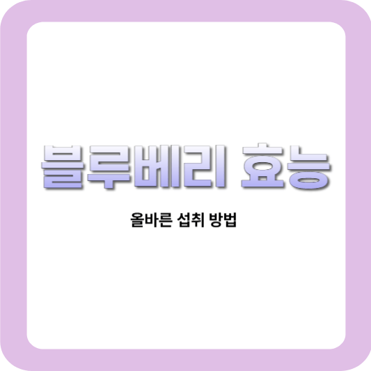 블루베리-효능