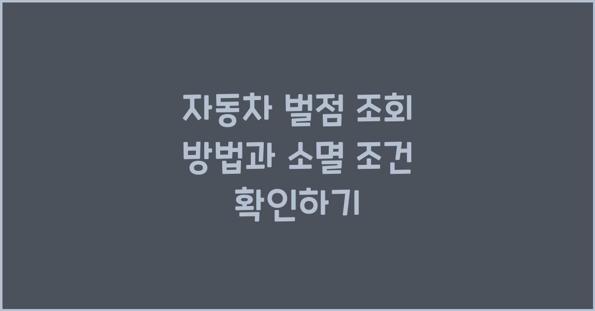 자동차 벌점 조회