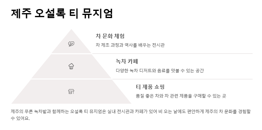 제주 실내 관광지 추천 비 오는 날에도 걱정 없는 여행지 모음