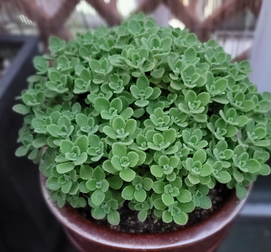 허브란? 장점과 기본 개념