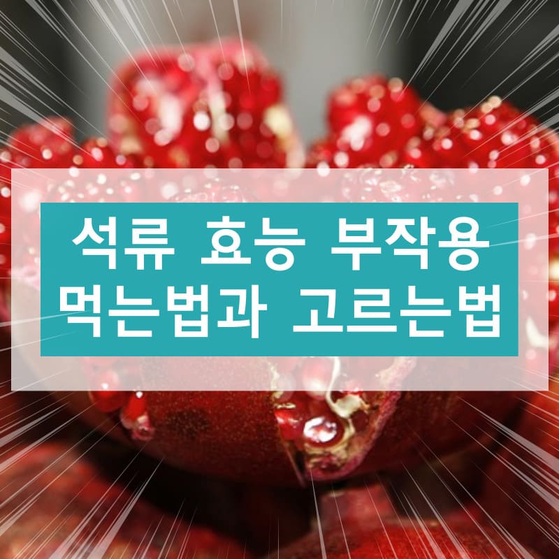석류 효능 부작용