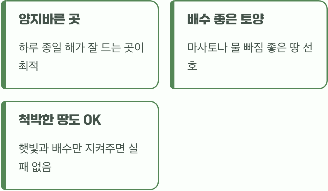 보랏빛 보석을 위한 최고의 명당