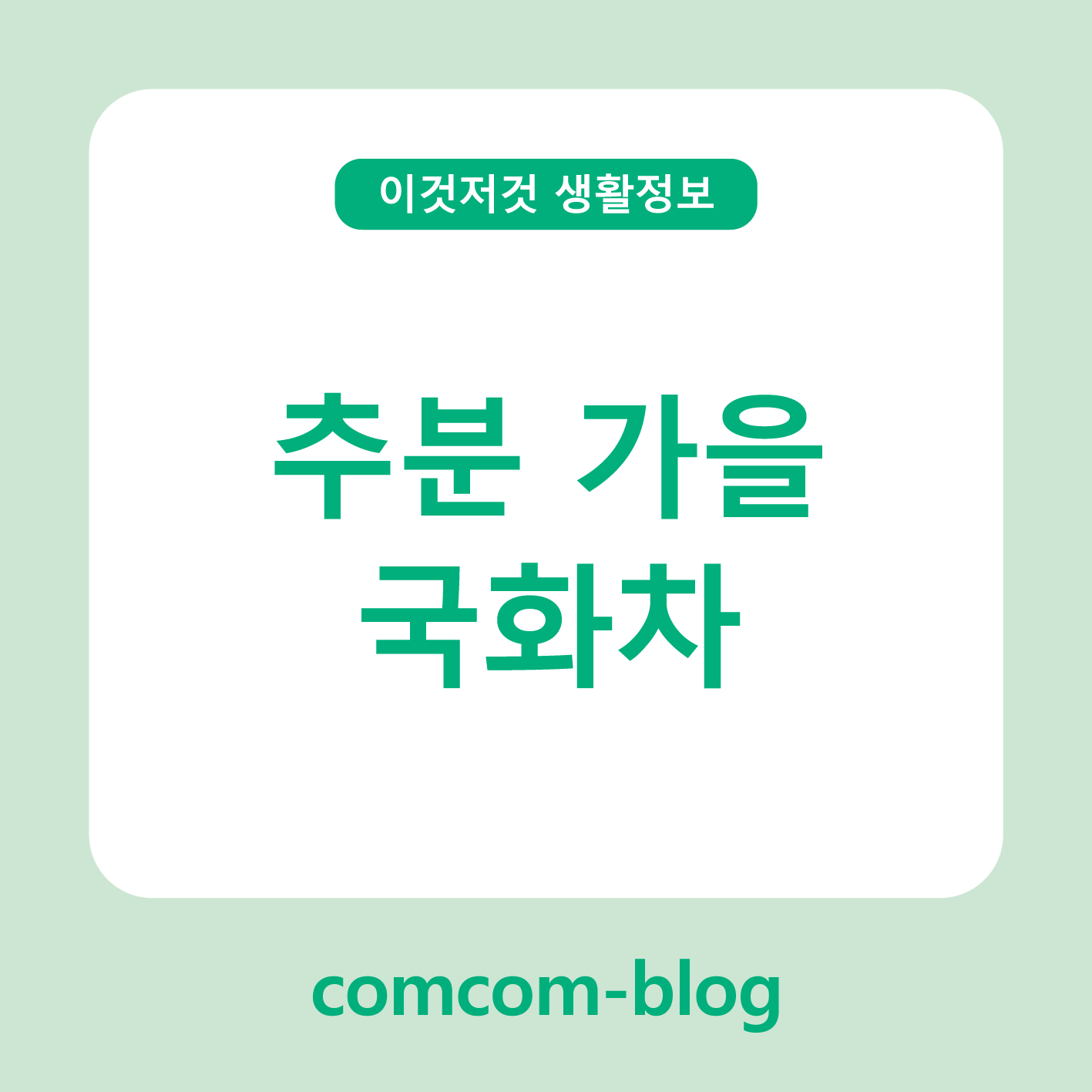 🌼 추분, 가을 국화차로 마음까지 따뜻해지는 계절의 맛