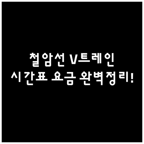 철암역 V-train 운행 시간표와 ..