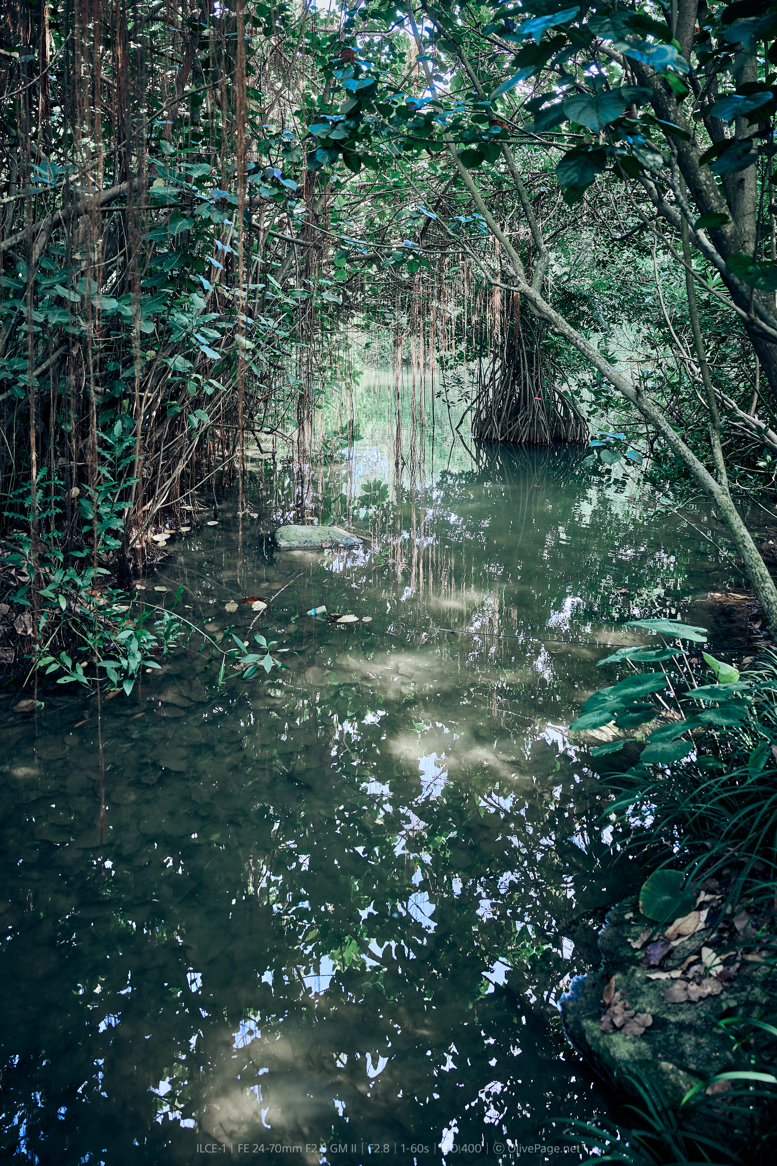 드래곤 플라이 킹피셔 레이크