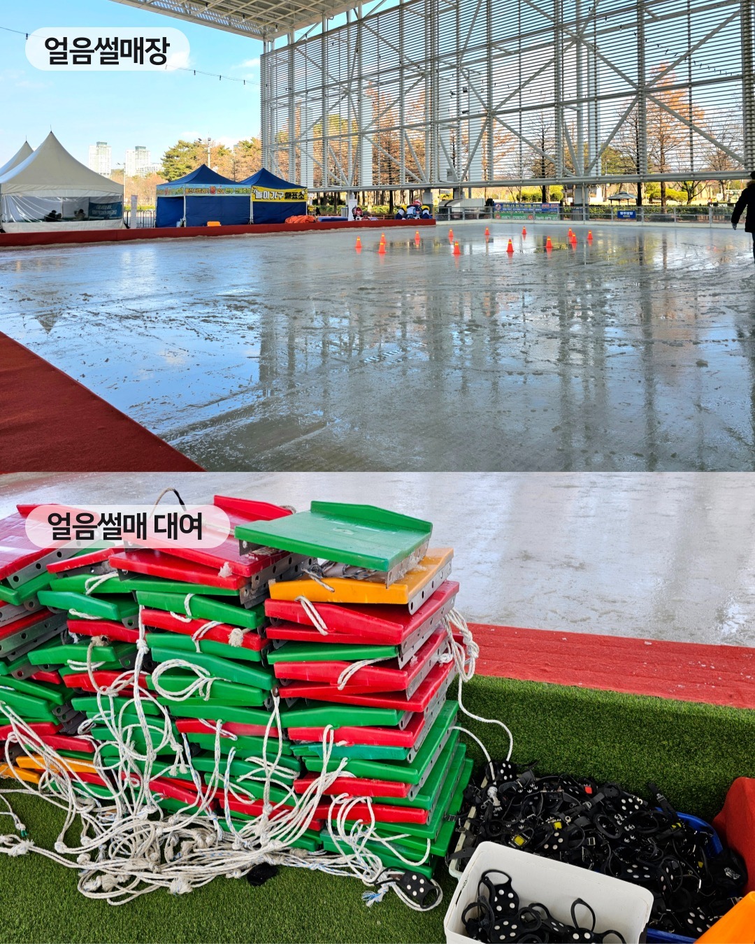 대전 엑스포 스케이트장