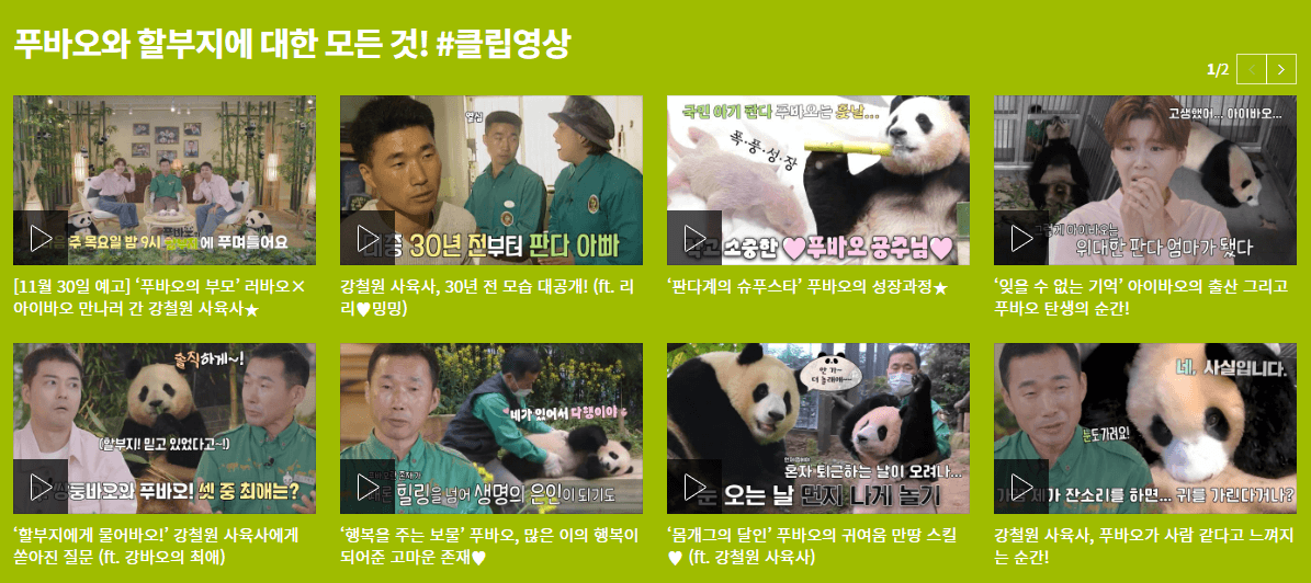 클립 영상 바로보기