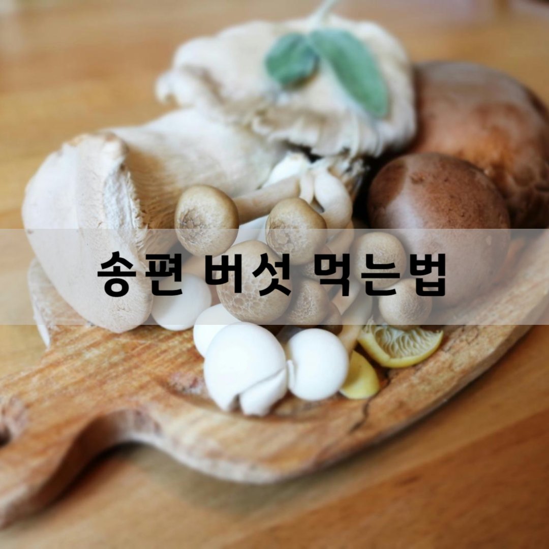 송편-버섯-먹는-법