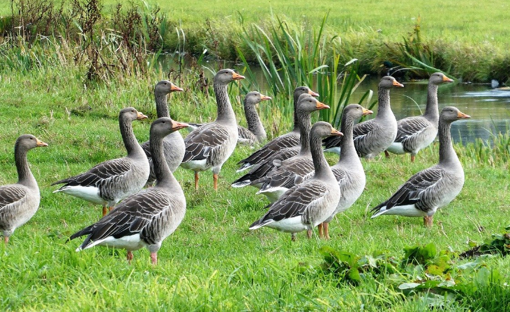 6월 여행하기 좋은곳 BEST 5