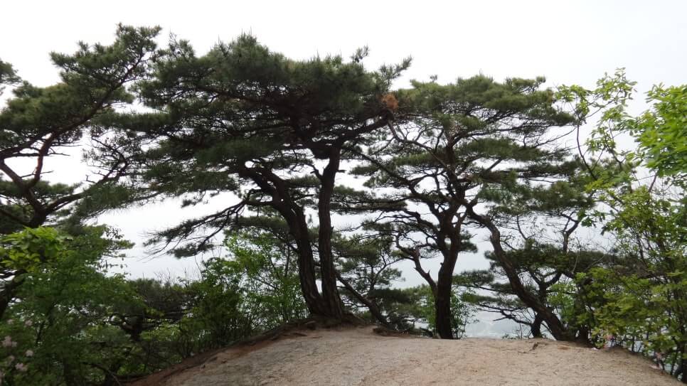 100대 명산 등산하기 마흔한번째 서울 수락산 도심 속에서 만나는 기막힌 암릉 조망의 명산