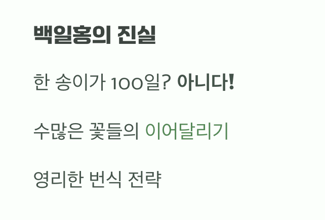 이름에 담긴 오해와 진실