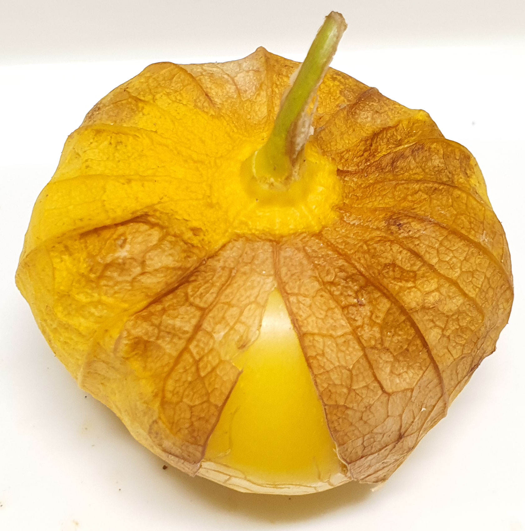 껍질 토마토 또마띠요 사진