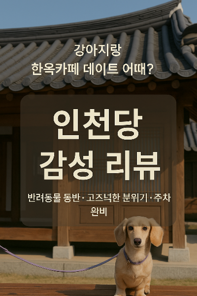 강아지랑 한옥카페 가봤어? 인천당에서 여유로운 감성 충전 + 주차 정보까지 정리!