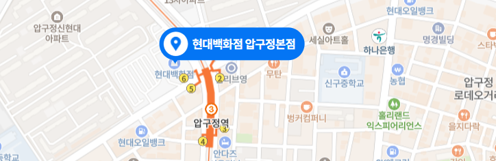 압구정 현대백화점-지도