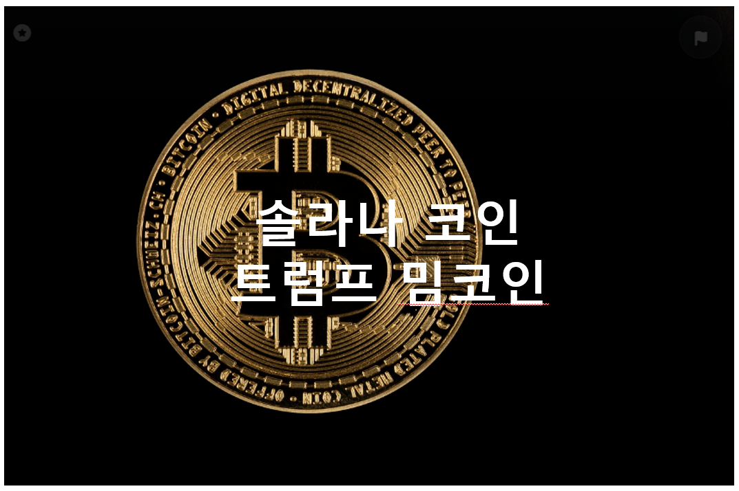 트럼프 솔라나
