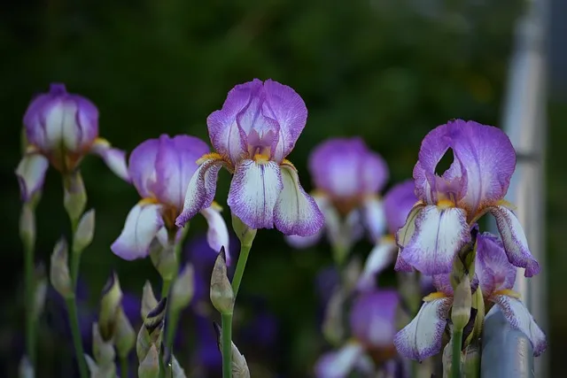 무창포 해수욕장 여행코스 바다 갈라짐 시간표 포함 정리_9