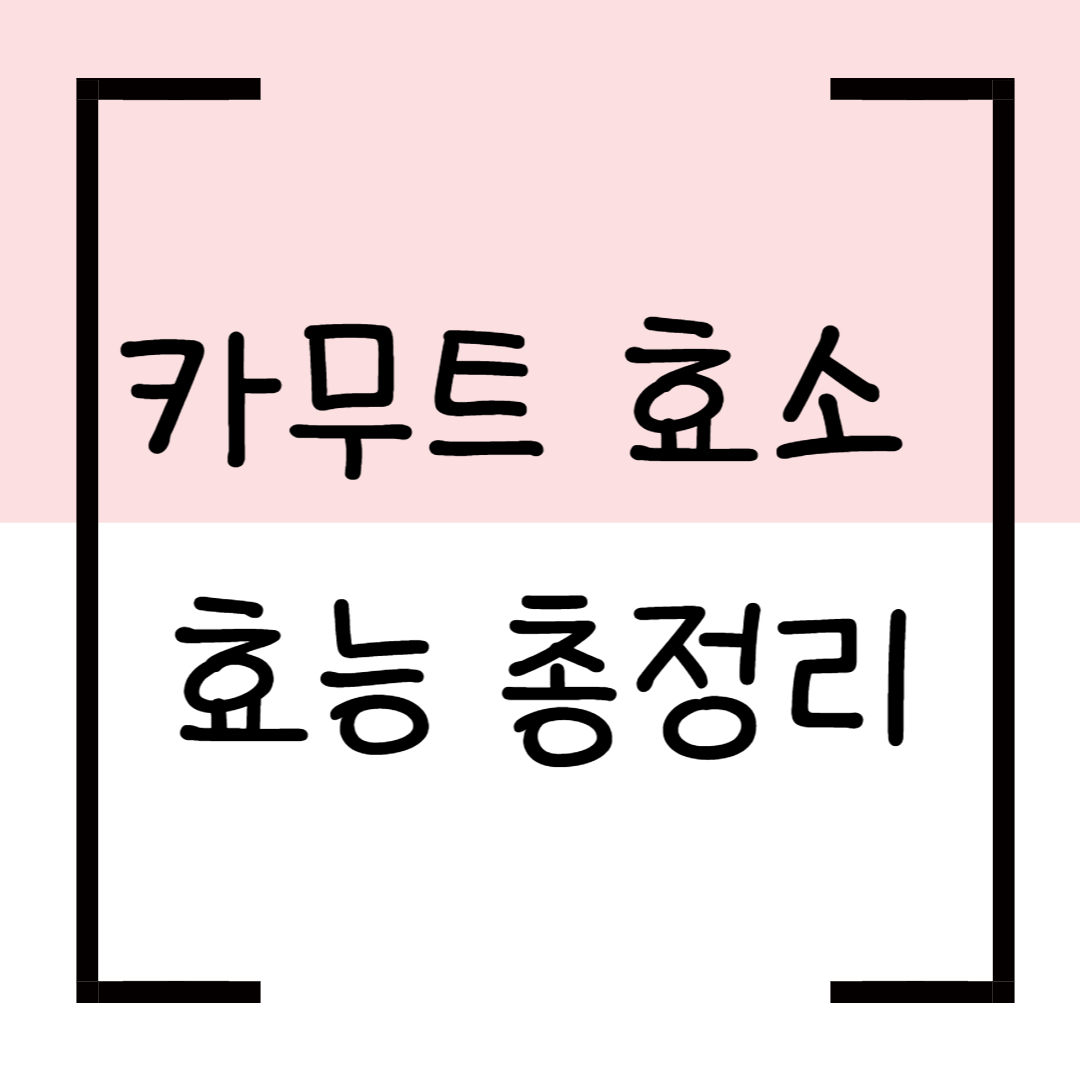 카무트효소 효능 총정리