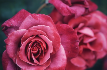 버스만으로도 쉽게 도착할 수 있는 방법 2