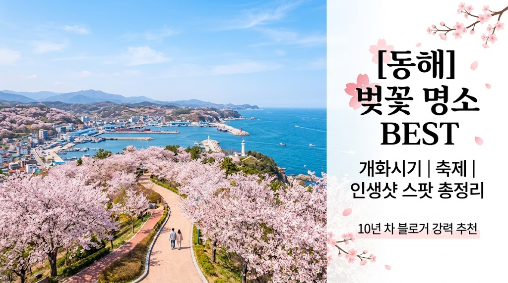 동해 벚꽃 명소