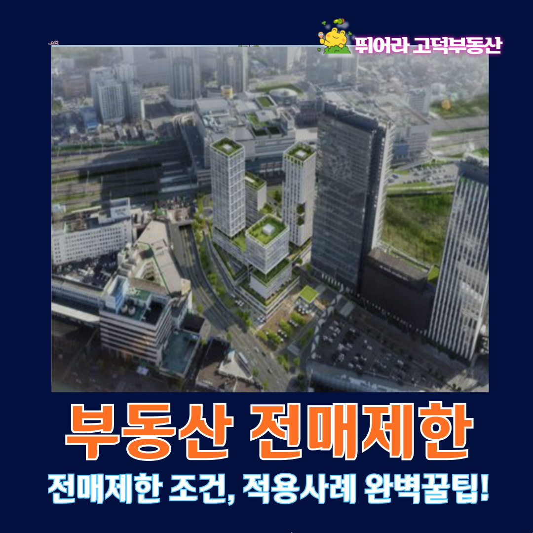 부동산전매제한 완전정복