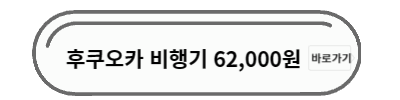 후쿠오카 비행기