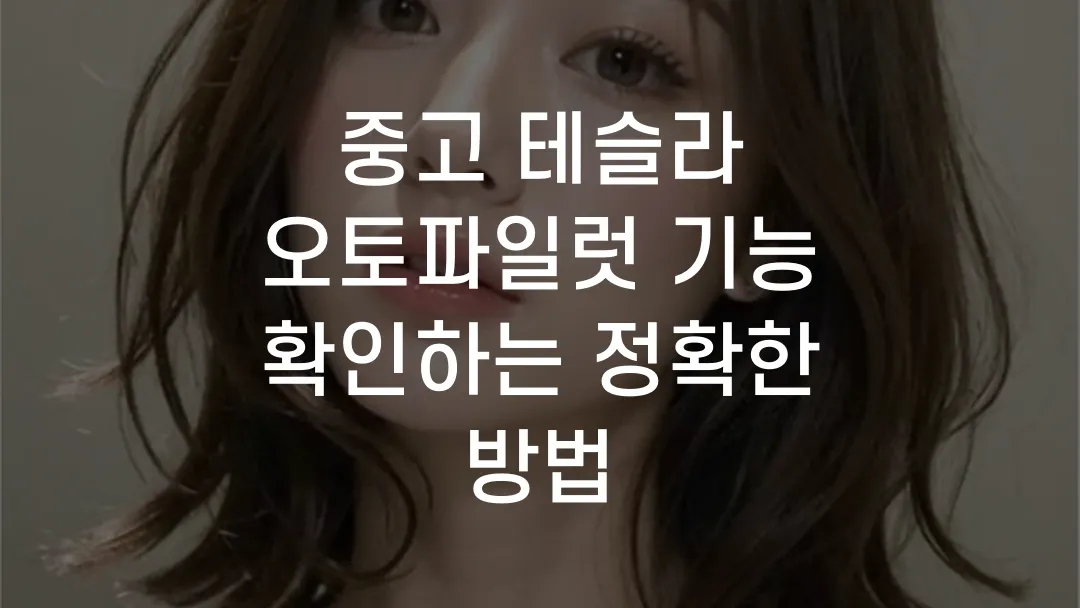 중고 테슬라 오토파일럿 기능 확인하는 정확한 방법