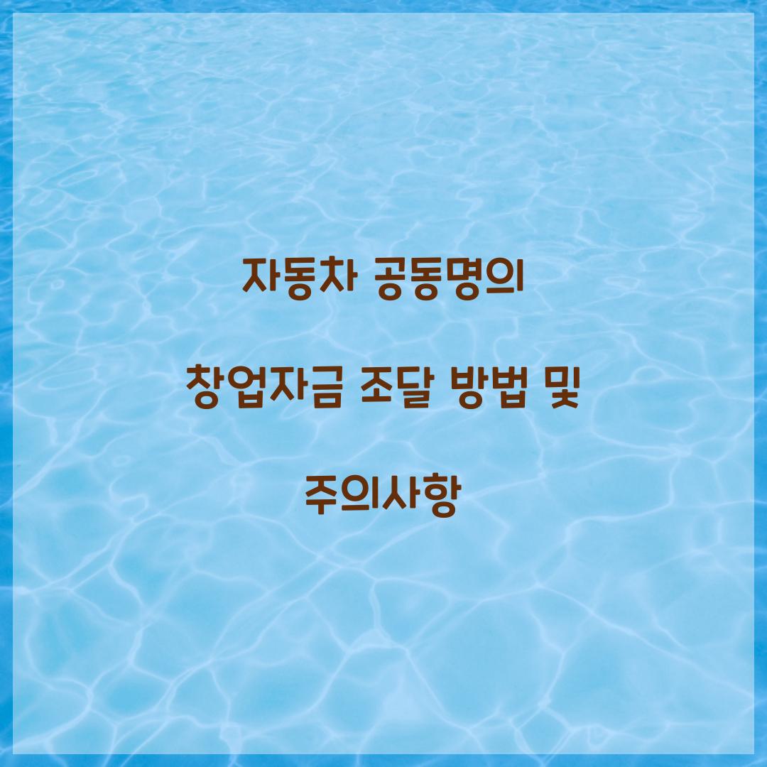 자동차 공동명의