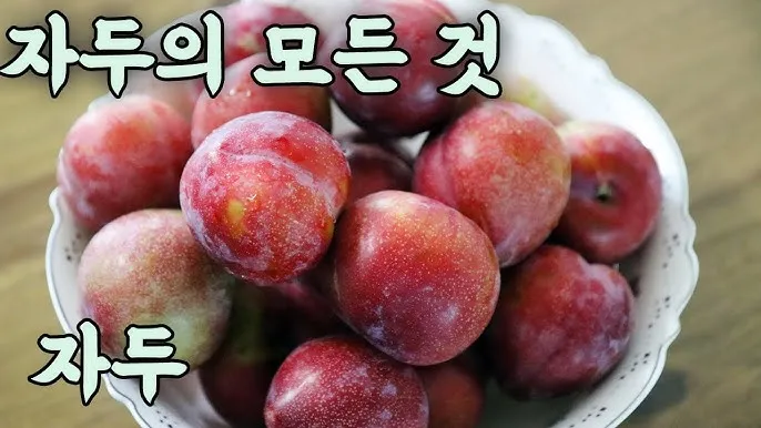 자두 보관법 수확시기 효능 자두청 만들기_7