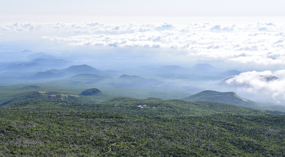한라산-탐방로예약시스템-성판악-코스-예약하기