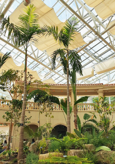 일월수목원-온실