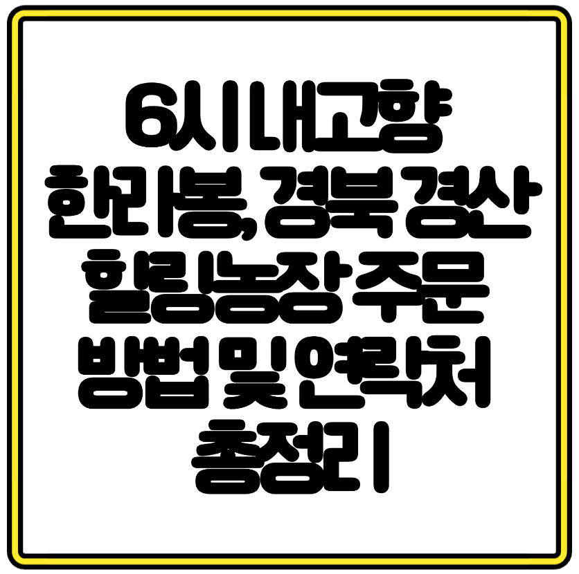 6시 내고향 한라봉, 경북 경산 힐링농장 주문 방법 및 연락처 총정리