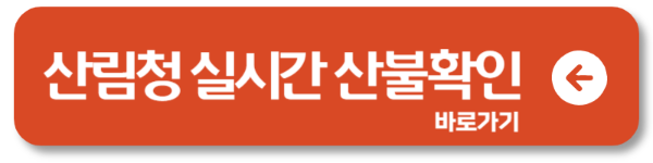 산불 현황 실시간 확인 방법 CCTV로 경로까지 한눈에2