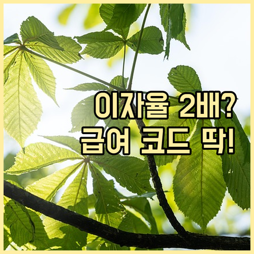 적금 이자 극대화: 급여 코드 인정부..