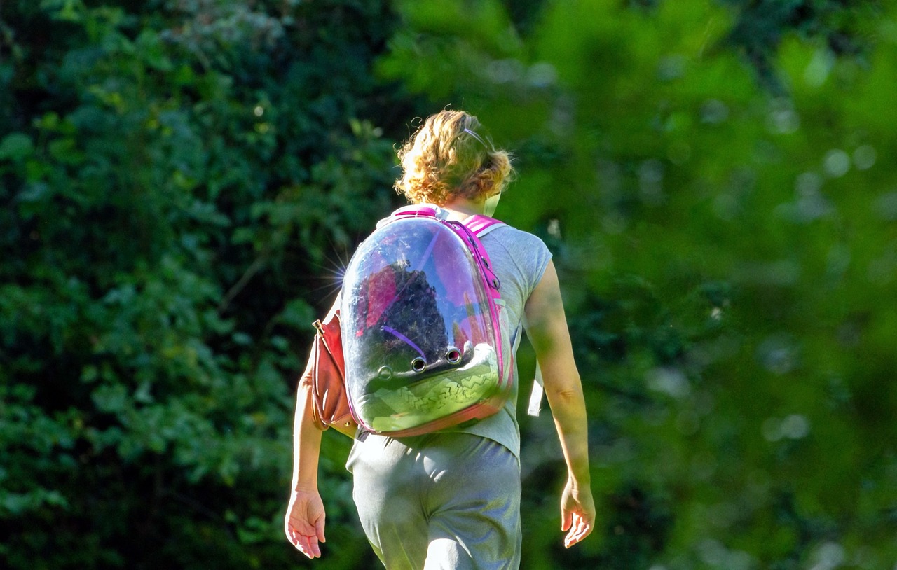 아동 발달 이론에서 본 어린이 연애