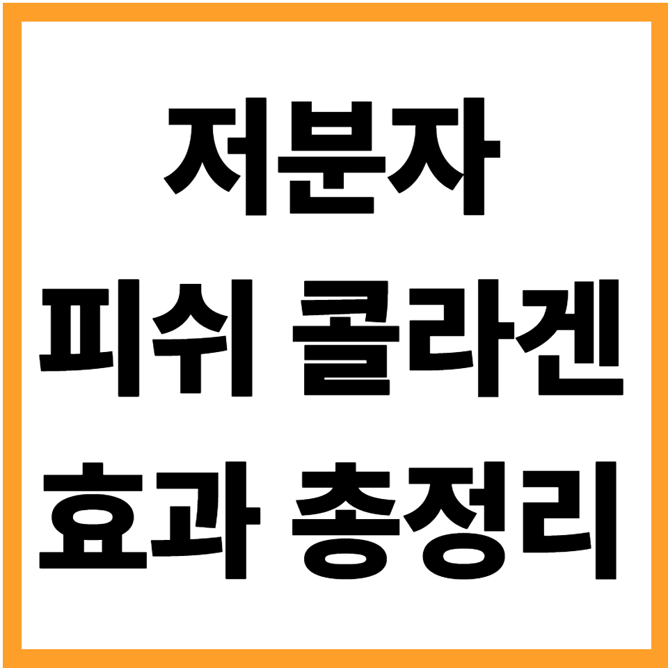 저분자 피쉬콜라겐 효과