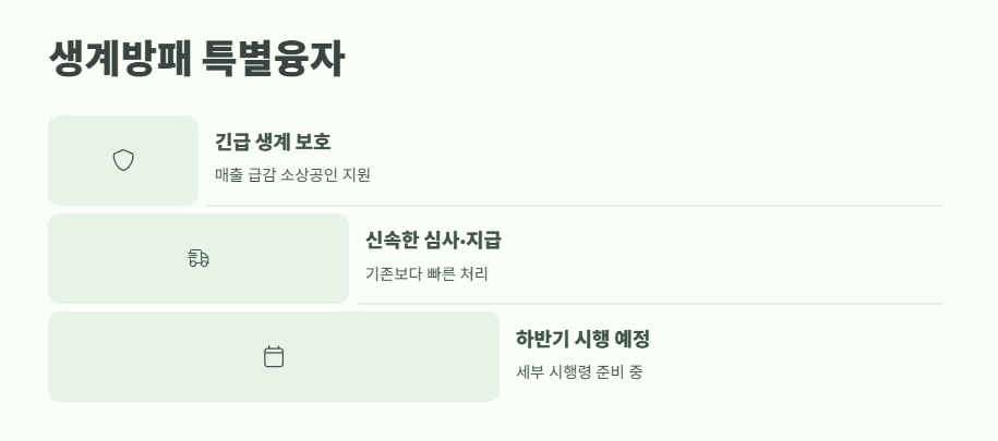 소상공인 특별지원금 2025 11