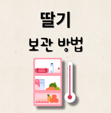 딸기 보관 방법